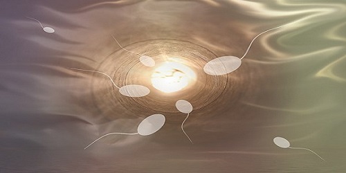 Acupuncture helps fertility